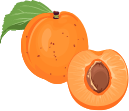 Custom Category Image
