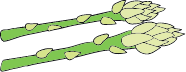 Custom Category Image