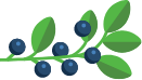 Custom Category Image