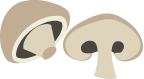 Custom Category Image