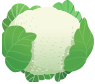 Custom Category Image