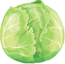 Custom Category Image