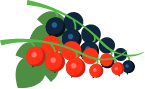 Custom Category Image