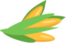 Custom Category Image