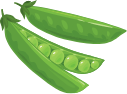 Custom Category Image