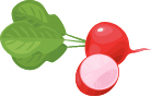 Custom Category Image