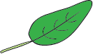 Custom Category Image