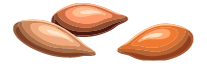 Custom Category Image